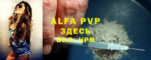 гидра Аркадак