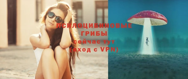 гидра Аркадак
