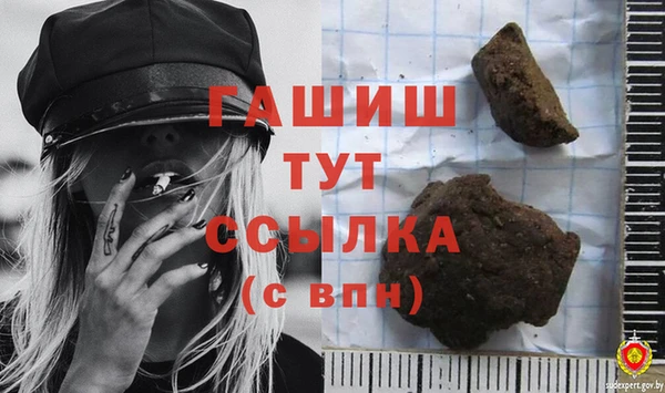 гидра Аркадак