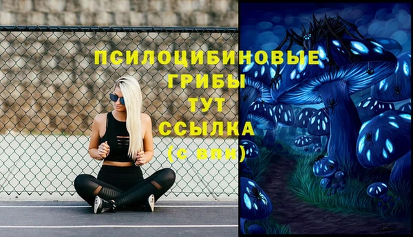 амф Армянск