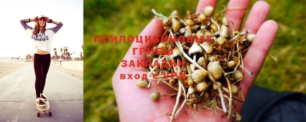 гидра Аркадак